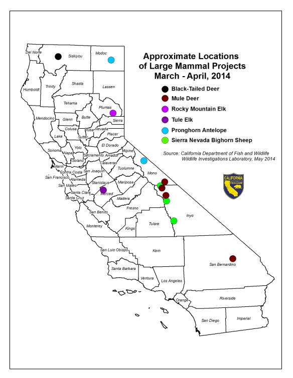 Large mammal project locations.  Spring 2014