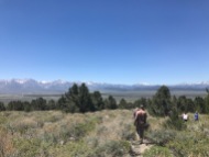 June 2018: Assisted with black bear capture operations in Inyo National Forest near Bishop, CA as part of population and health surveillance efforts